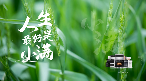 十大品牌科恩集成灶：厨房亦需“小满”！